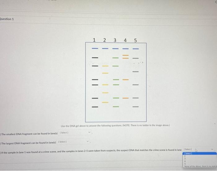 Solved 12345 −−−=− −−=− −=− =−=− −=−− | Chegg.com