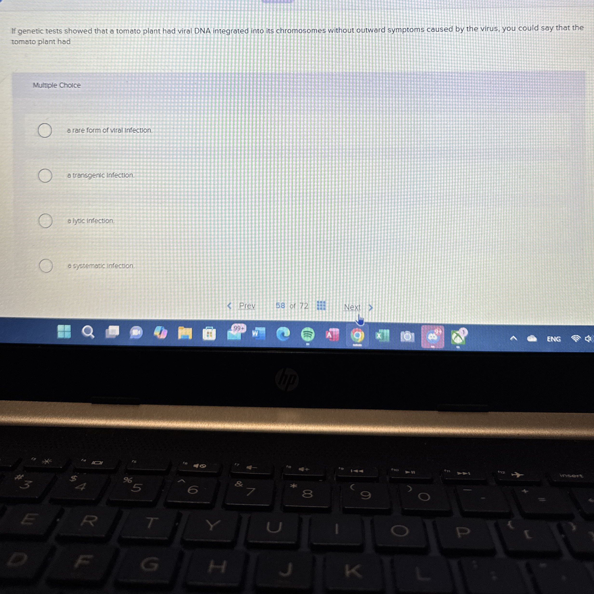 Solved If you were a vet examining a cat with an illness,