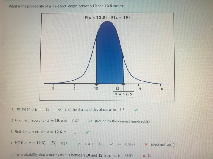 foot length in inches