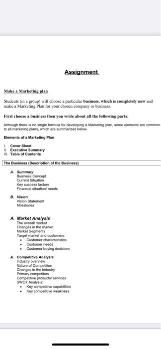 Solved Assignment Make a Marketing plan Studietits (in a | Chegg.com
