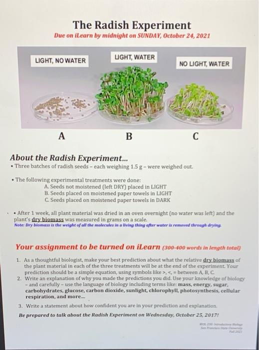 the radish experiment explanation