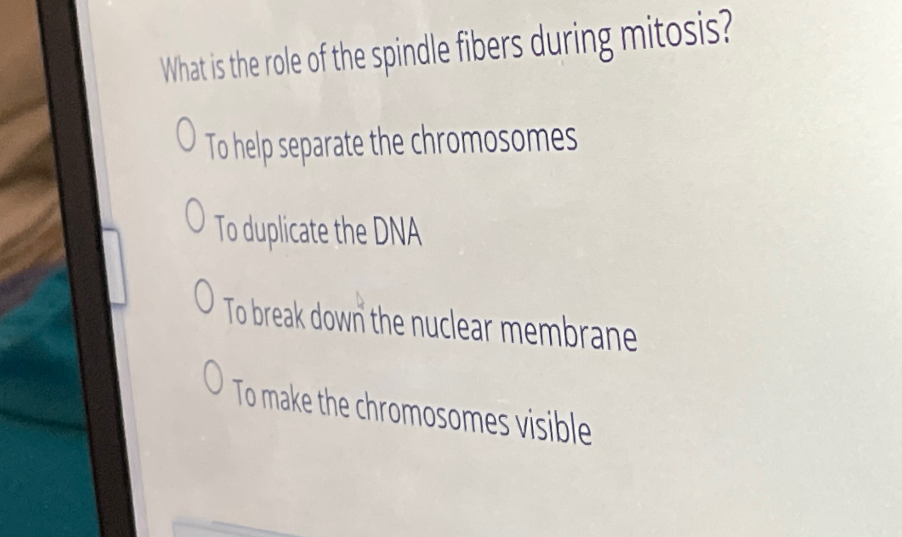 Solved Whatis the role of the spindle fibers during Biology Diagrams