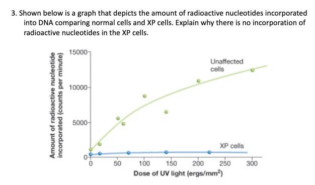 Solved 3. Shown below is a graph that depicts the amount of | Chegg.com
