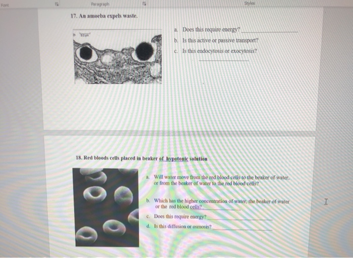 Solved For Styles Paragraph 17 An Amoeba Expels Waste A Chegg Com