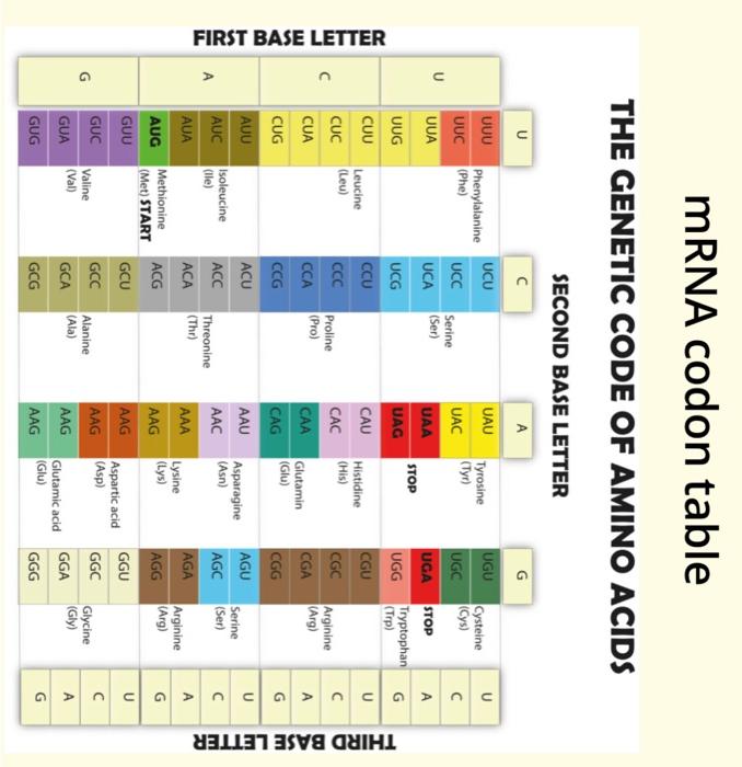 In this media piece you are making an original | Chegg.com