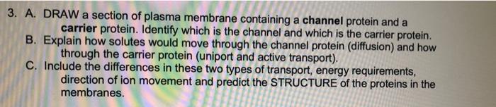 Solved 3. A. DRAW a section of plasma membrane containing a | Chegg.com
