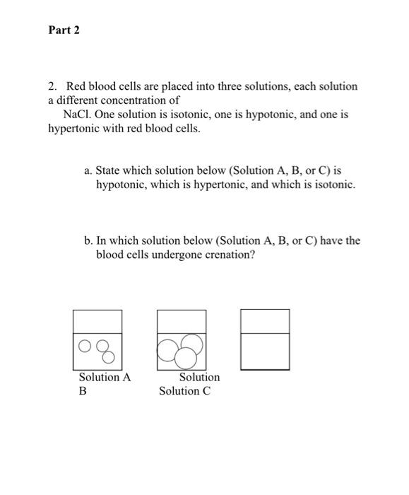 Solved Part 2 2. Red blood cells are placed into three | Chegg.com