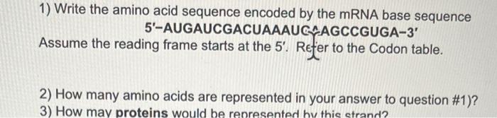 Solved 1) Write the amino acid sequence encoded by the mRNA | Chegg.com