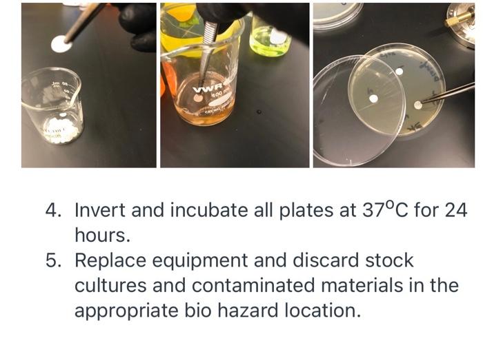 Solved 3. Soak each disk in the appropriate chemical and add | Chegg.com