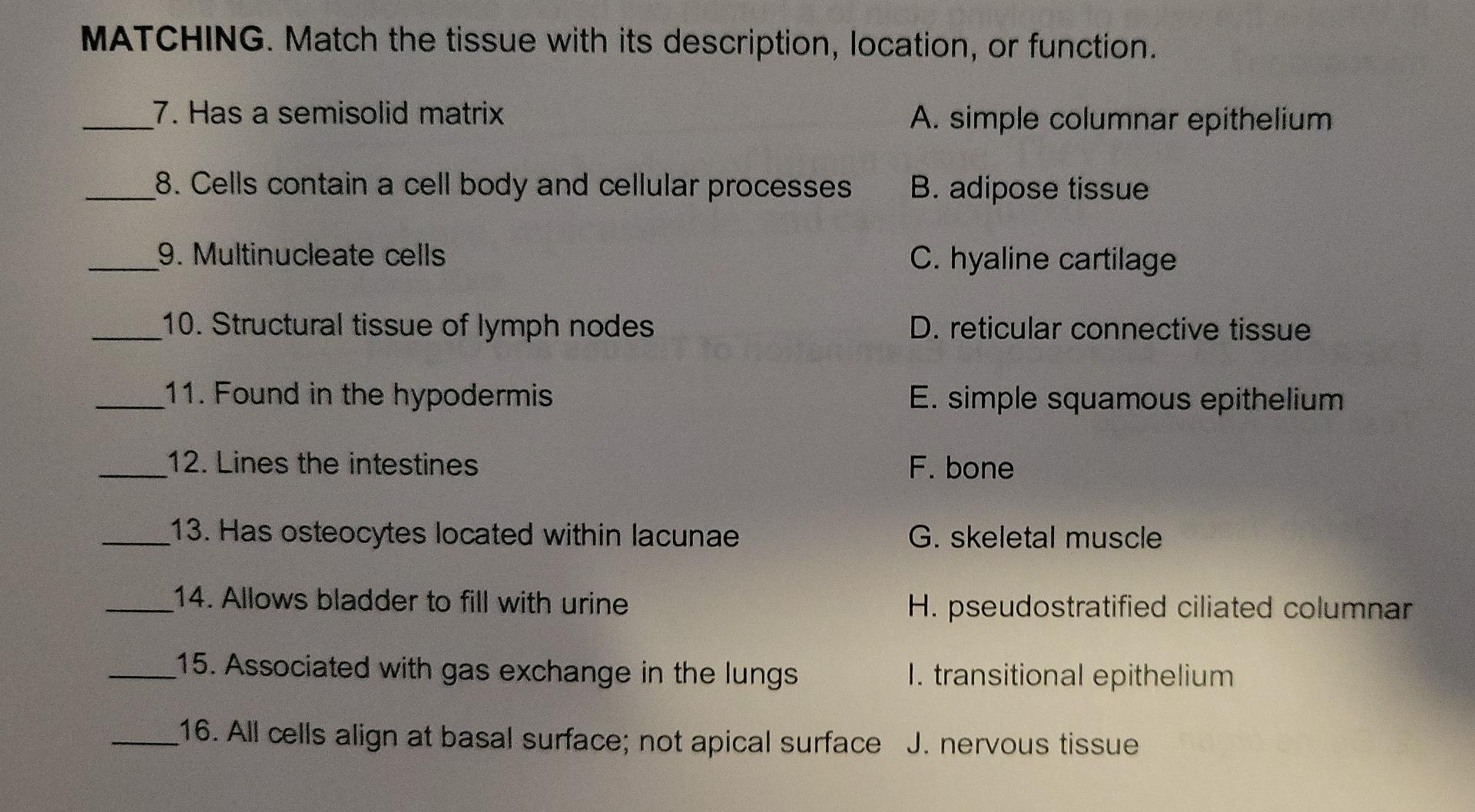 Solved MATCHING. Match the tissue with its description, | Chegg.com