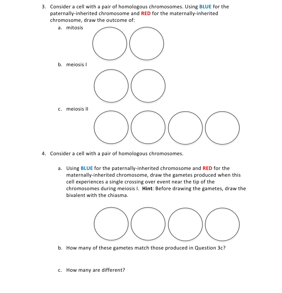Solved Consider a cell with a pair of homologous | Chegg.com