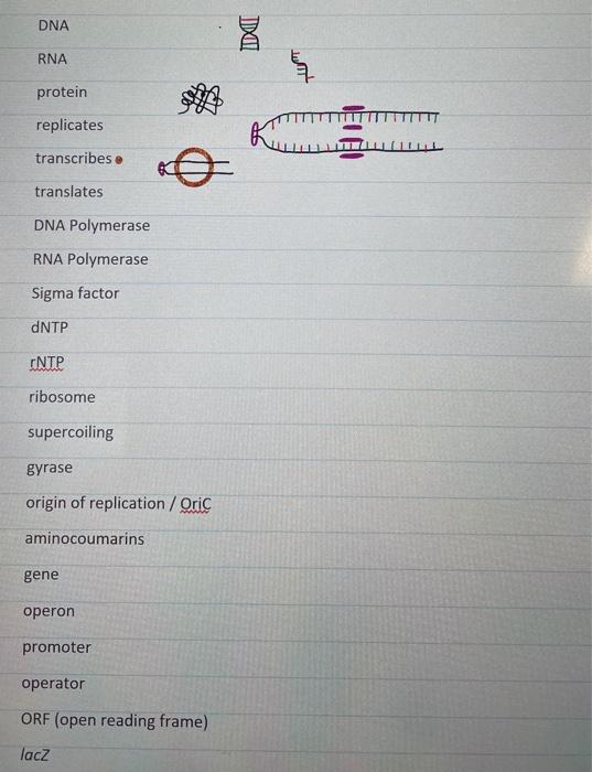 student submitted image, transcription available below