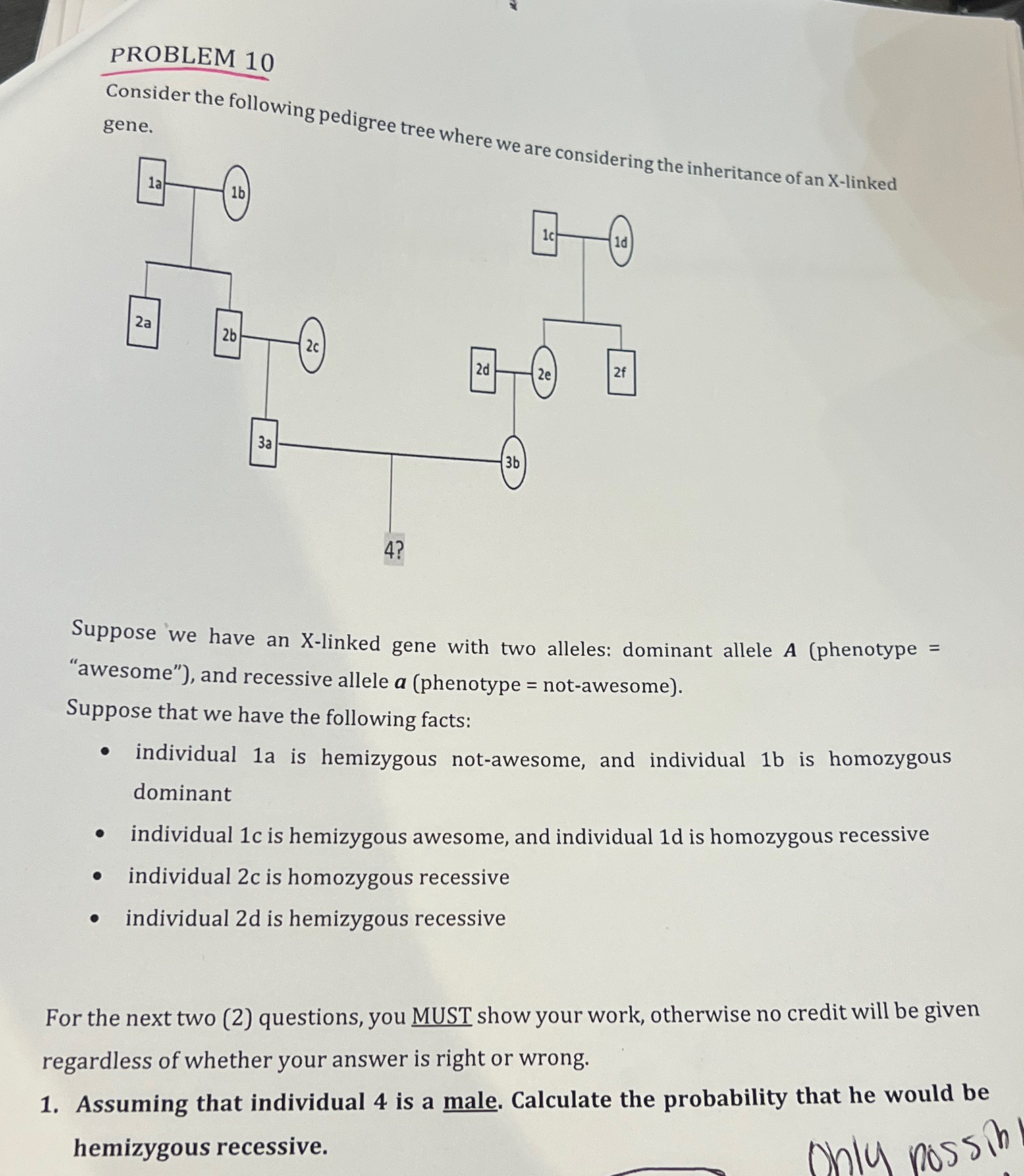 Solved PROBLEM 10Consider the following pedigree tree where | Chegg.com
