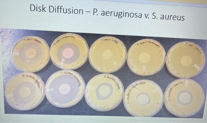 Solved Disk Diffusion and Kirby Bauer lab results Disk | Chegg.com