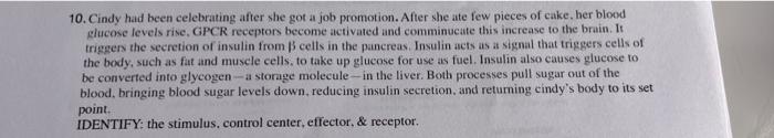 10. Cindy had been celebrating after she got a job promotion. After she ate few pieces of cake, her blood glucose levels rise