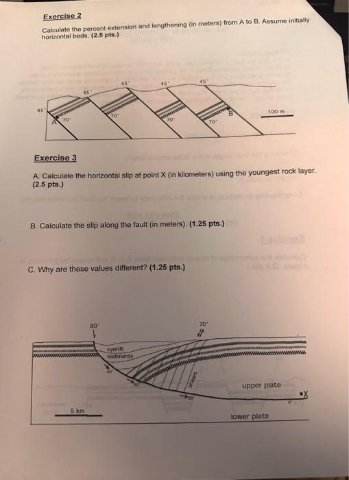 Solved Exercise? Calculate the percent extension and | Chegg.com