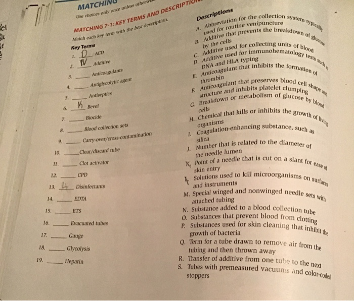 solved-matchinu-tion-system-typica-use-choice-only-once-chegg