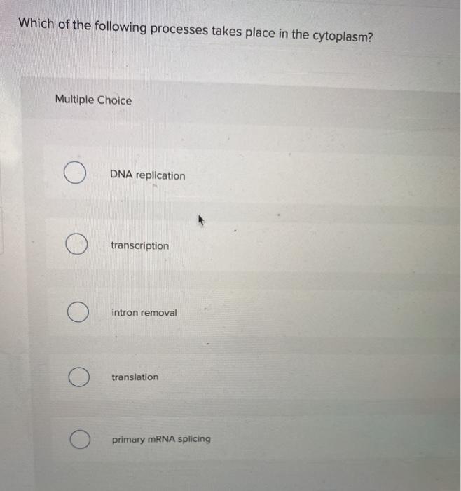 Solved Which of the following processes takes place in the | Chegg.com