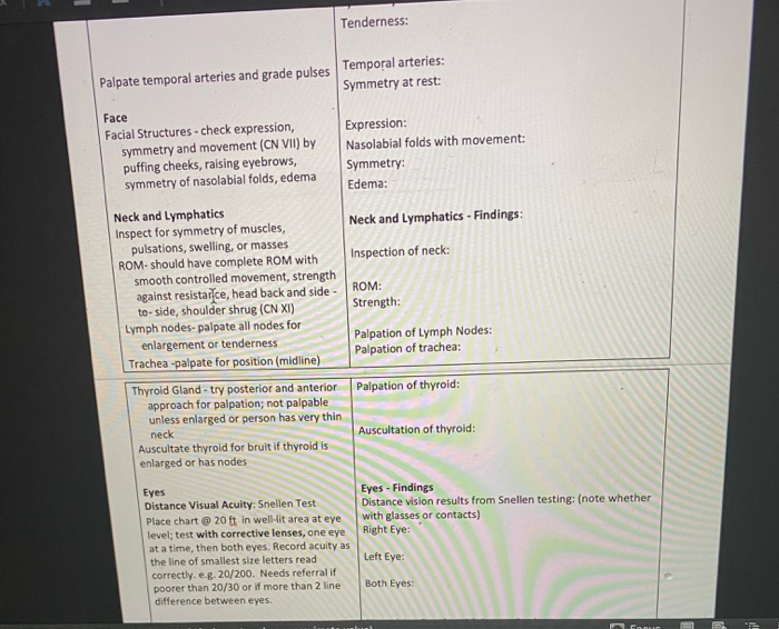 Muscles Of The Head And Neck Lab 20 - slidedocnow
