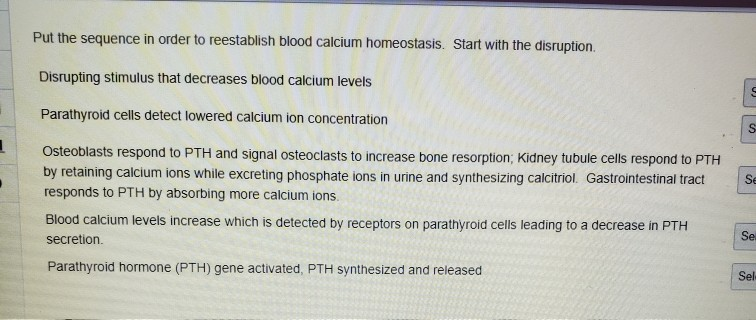 solved-put-the-sequence-in-order-to-reestablish-blood-chegg