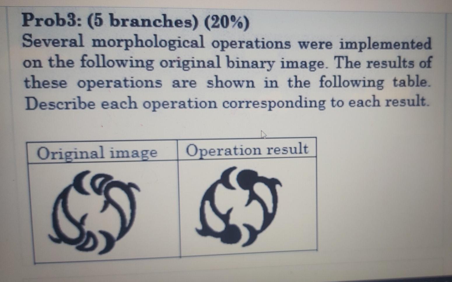Solved Prob3: (5 branches) (20%) Several morphological | Chegg.com