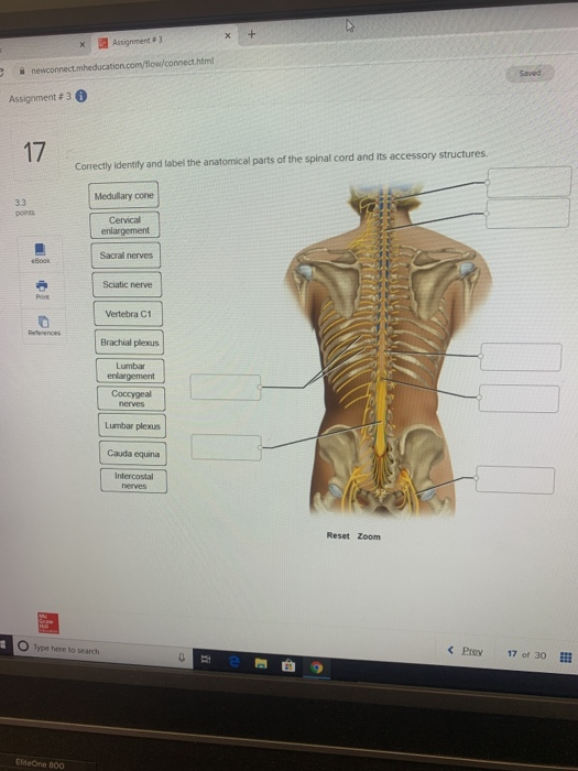 Solved: Assignment 3 Newconnect.mheducation.com/flow/conne... | Chegg.com