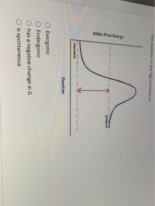 Solved The reaction in the figure below is: Gibbs Free | Chegg.com