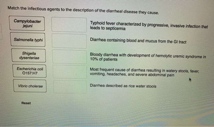 Solved Match The Infectious Agents To The Description Of Chegg Com