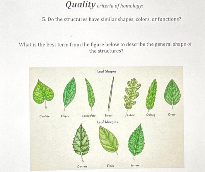 Solved 5. Do the structures have similar shapes, colors, or | Chegg.com