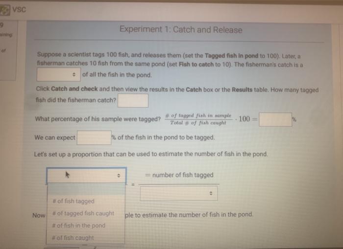 vsc 9 Experiment 1 Catch and Release OF Suppose a