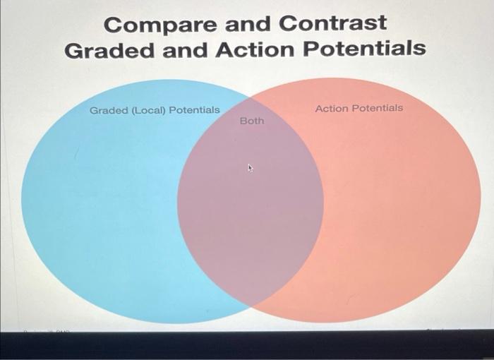Solved Compare and Contrast Graded and Action Potentials | Chegg.com