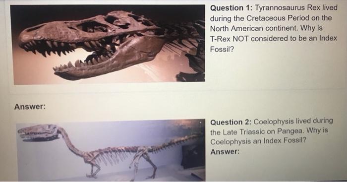 Solved Lesson C: Index Fossils Humans have been finding 