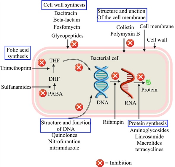 Solved: Chapter 14 Problem 36ESP Solution | Concepts Of Genetics Plus ...