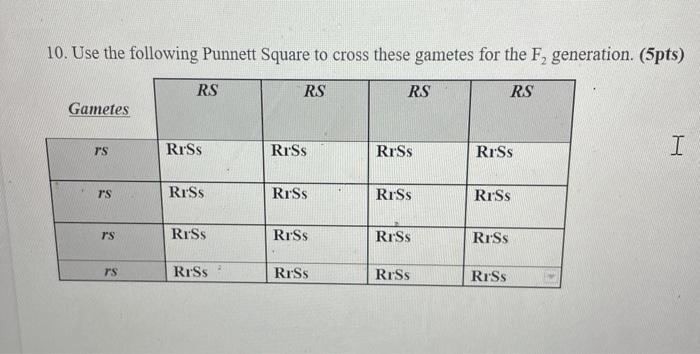 Solved 10. Use the following Punnett Square to cross these | Chegg.com