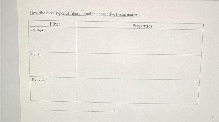 Solved Describe three types of fibers found in connective | Chegg.com