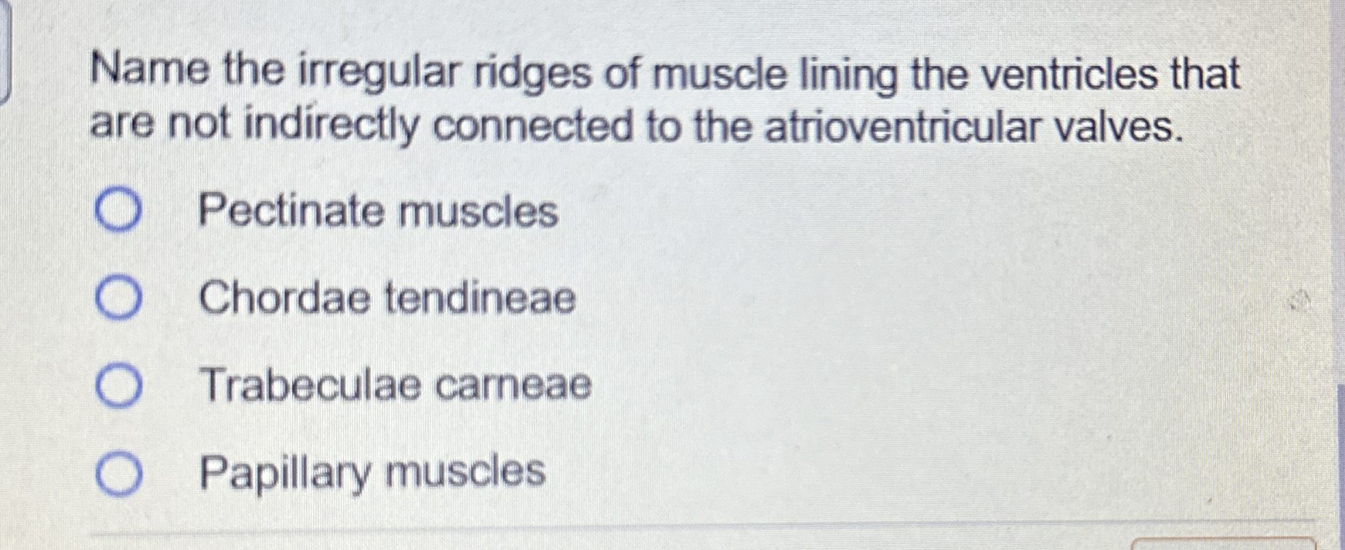 Solved Name the irregular ridges of muscle lining the