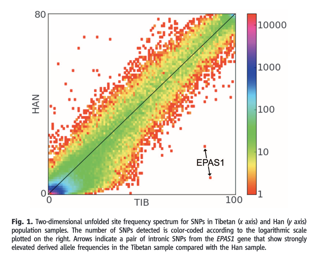 Solved Sequencing of 50 Human Exomes Reveals Adaptation to | Chegg.com