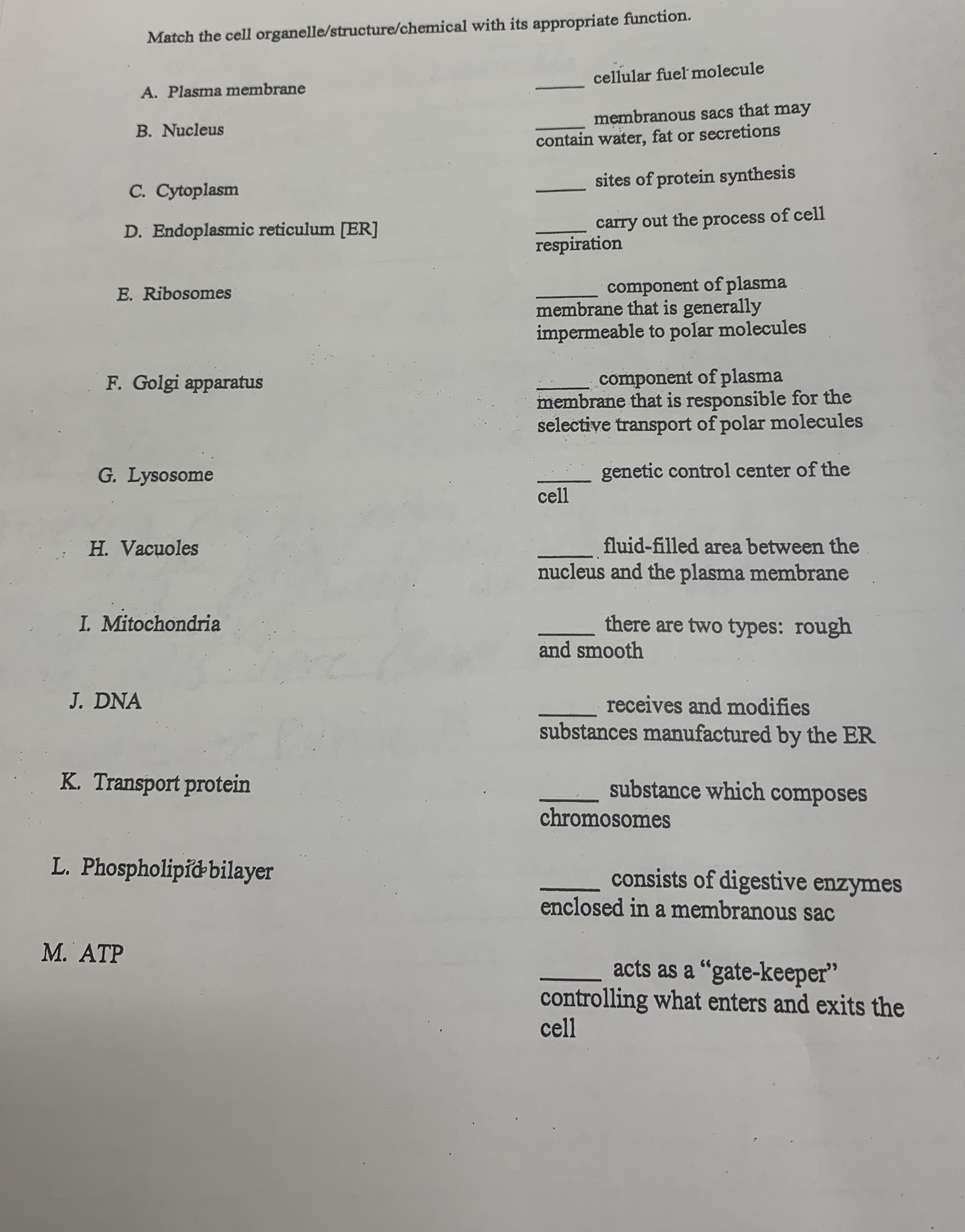Solved Match the cell organelle/structure/chemical with its | Chegg.com