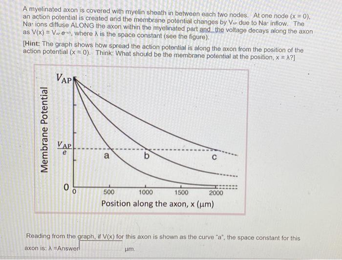 A myelinated axon is covered with myelin sheath in between each two nodes. At one node \( (x=0) \), an action potential is cr