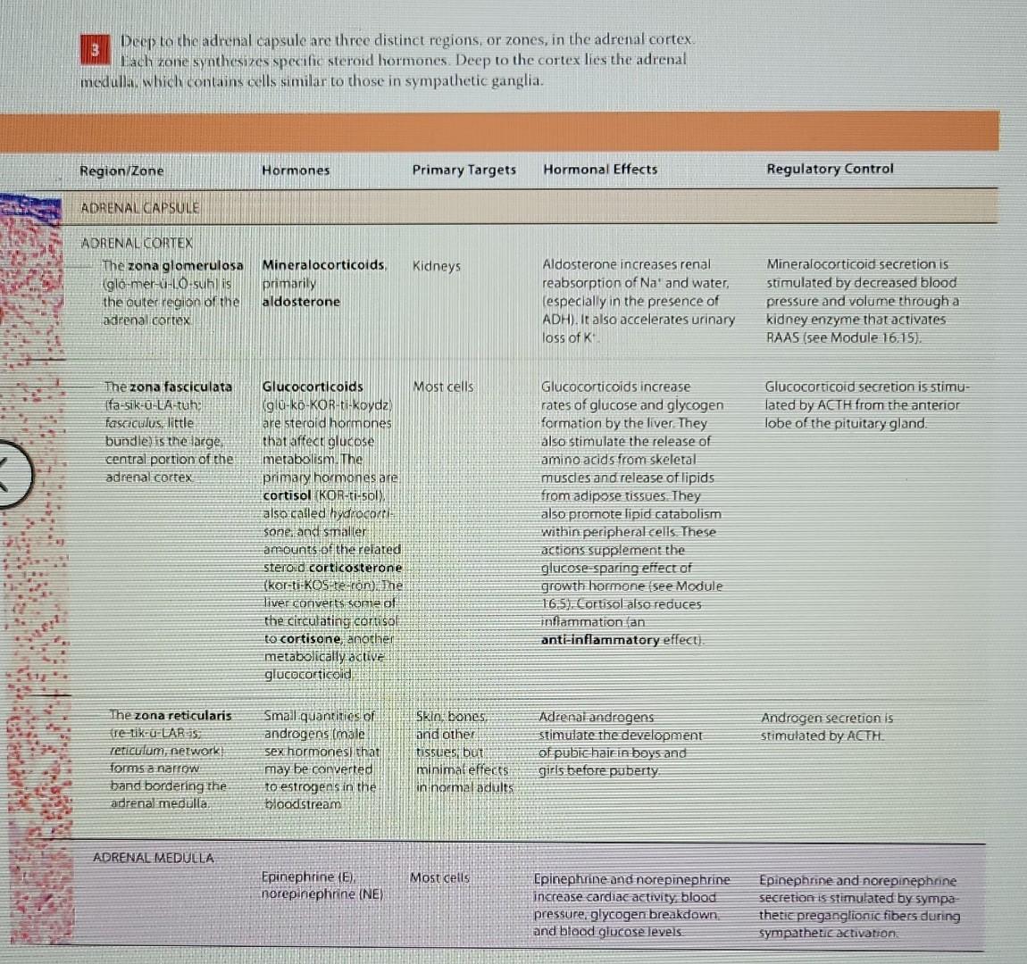 Solved Read about steroid hormones in Mods. 16.2,16.10, and | Chegg.com