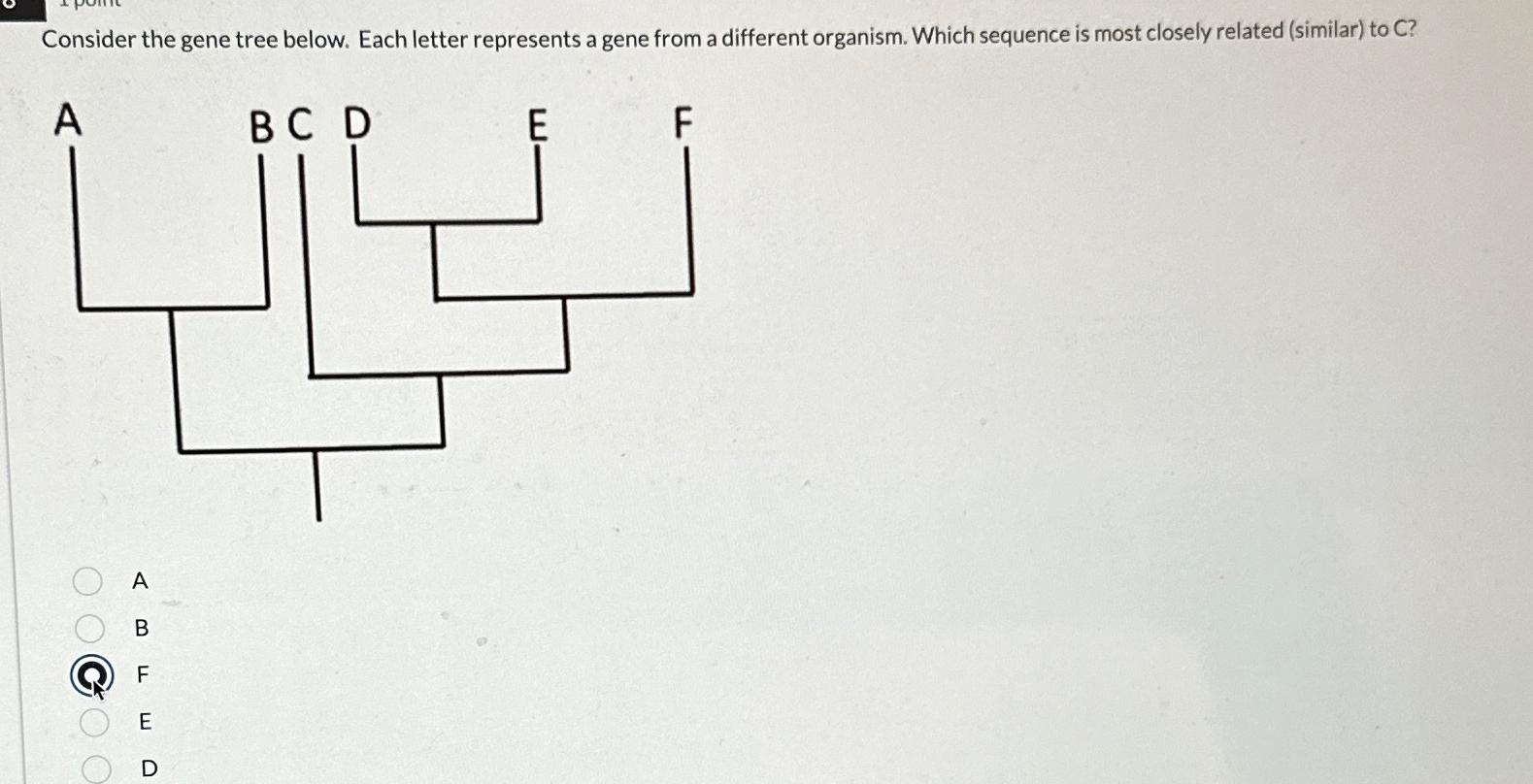 Solved Consider the gene tree below. Each letter represents | Chegg.com