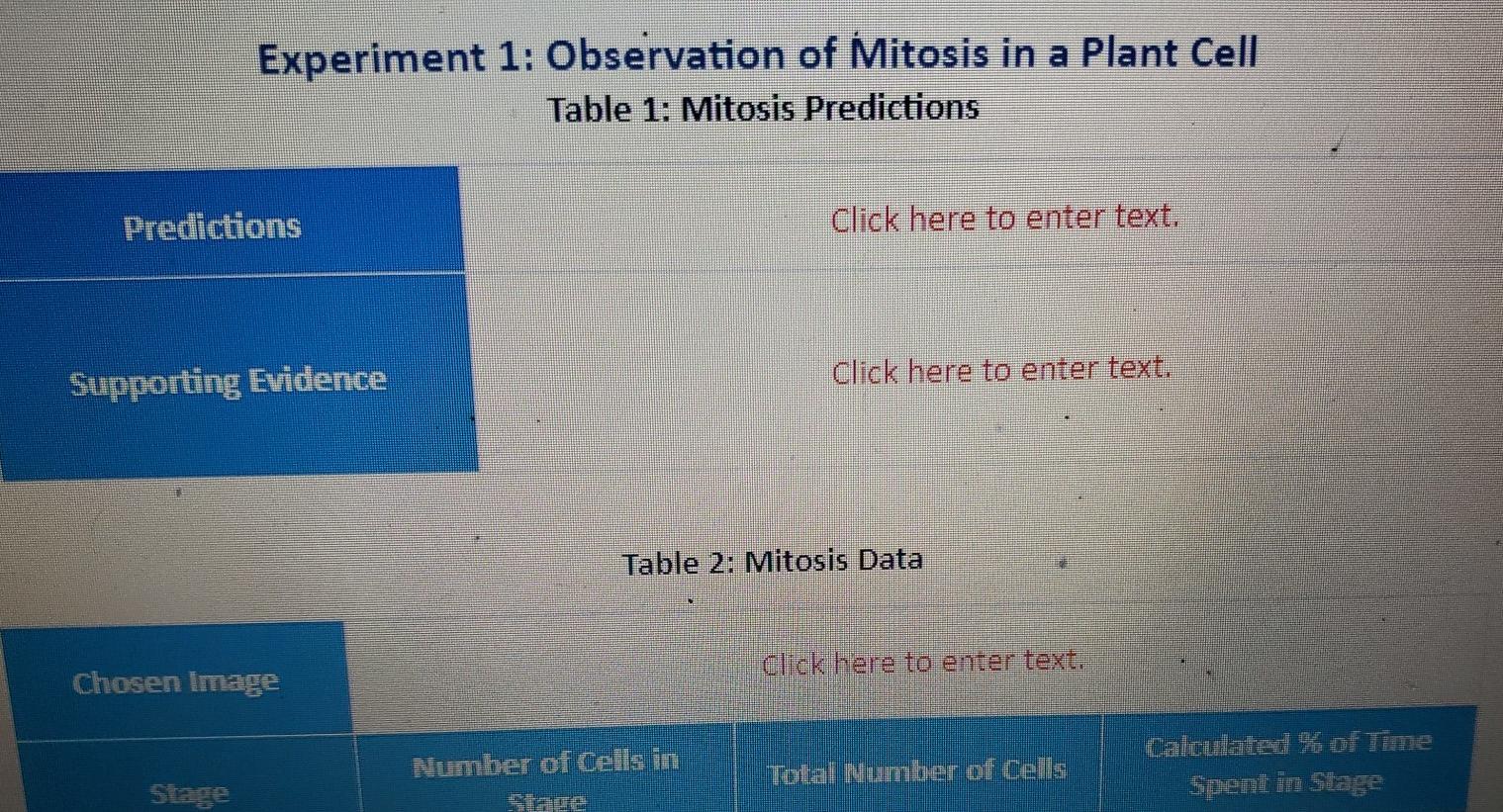 experiment 1 observation of mitosis in a plant cell