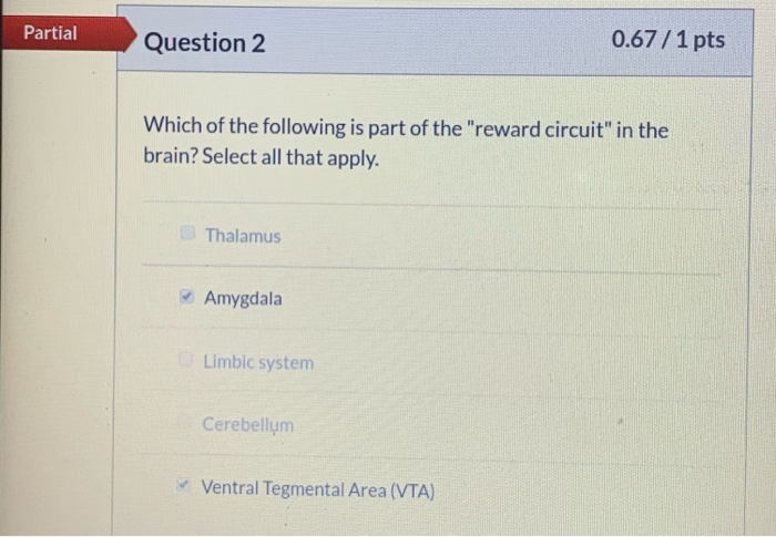 Solved Partial Question 2 0.67 / 1 pts Which of the | Chegg.com
