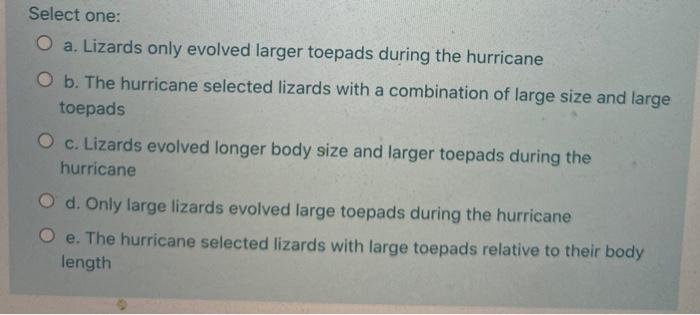 Solved Anoles are small tropical lizards with sticky toes | Chegg.com