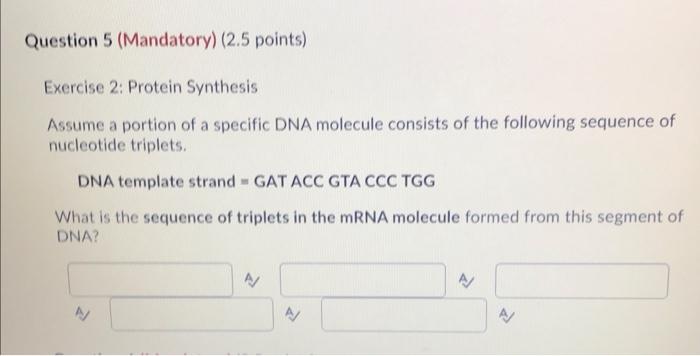 Solved Exercise 2: Protein Synthesis Assume a portion of a | Chegg.com