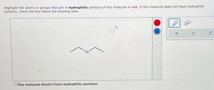 Solved Highlight the atoms or groups that are in hydrophilic | Chegg.com