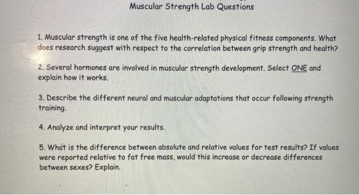 Muscular strength discount health related fitness