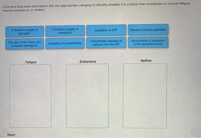 solved-click-and-drag-each-description-into-the-appropriate-chegg