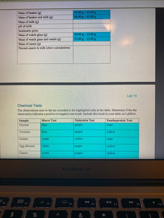 Solved Lab 10 Peptides and Proteins Team Peptide Structures | Chegg.com