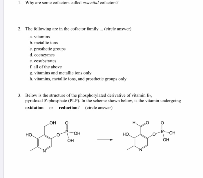 Solved 1 Why Are Some Cofactors Called Essential Cofacto Chegg Com